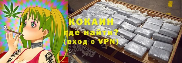 МДПВ Вяземский