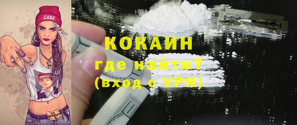 МДПВ Вяземский