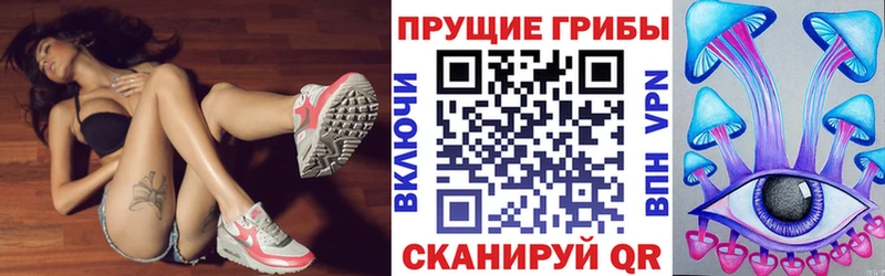 Купить где  Сим  Псилоцибиновые грибы мицелий 